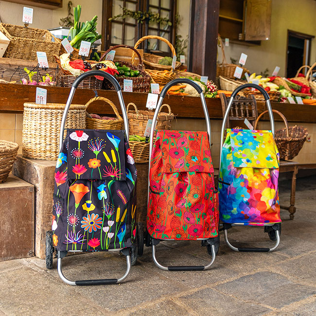 Carrito de la compra - Trolly