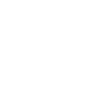 Novedades