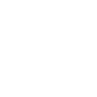 Amante de los gatos